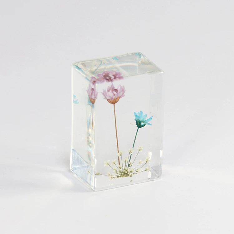 보라+파랑 작은 별꽃 (6개부터 구매 가능)