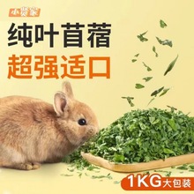 苜蓿纯叶子幼兔食用紫花苜蓿兔子猪饲料粮新鲜