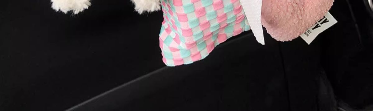 Cute Doodle Dog Car Tissue Holder, Car Hanging Bag Tissue Box, In-Car Seat Tissue Bag, Hanging Tissue Box