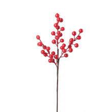 ϲcҾblؔ  Сt滨t{[Sl