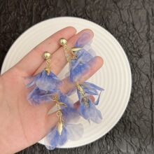 ��ʽ�������������Շ��оW���������K���h�OӋ���ļ������p�ݶ��