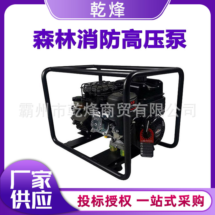 森林消防四冲程高压泵便携式高扬程山林灭火泵移动式远程输送泵