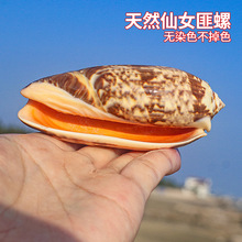 �������Ȼ����ؐ����Ů���~���쾰��̨�[�O�zӰ���߃�ͯ��������