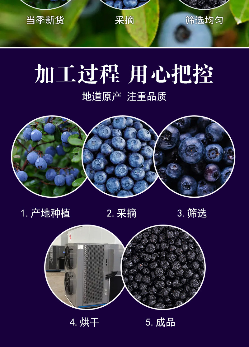 Dried Blueberry Fruit (Vaccinium spp.) — Large-Grade Preserved Berry Snack, 500g Bulk preparation