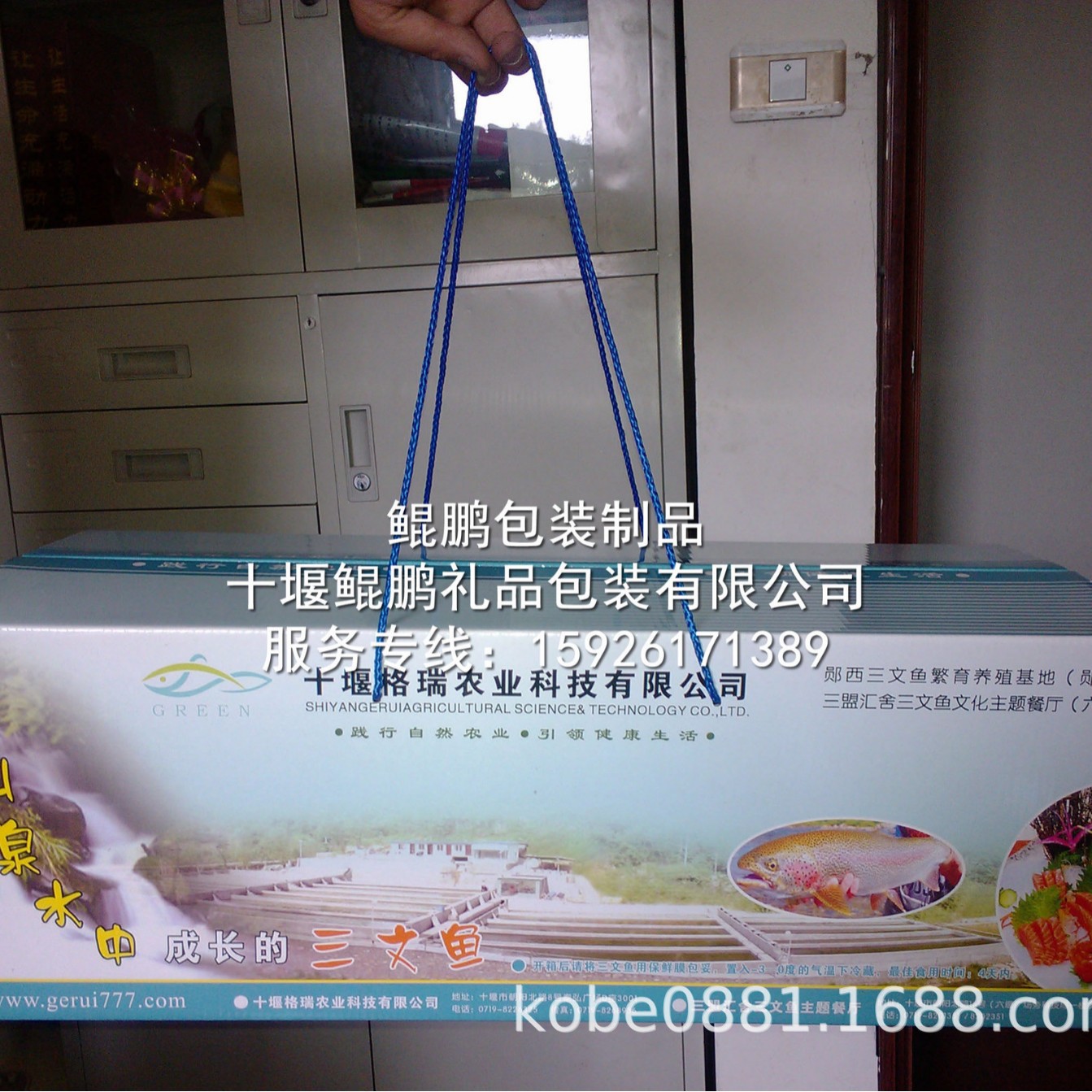 三文鱼包装盒/三文鱼礼品盒/三文鱼彩箱包装/保鲜鱼彩箱泡沫包装