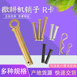 ����΢���C���186F�����r������΢���C�N��8&times;40 8&times;50�i�N�SR��