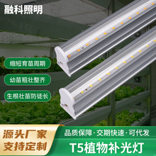 T5ֲ���a���ȫ���VLEDֲ������҃ȴ���Nֲ���ܶ������L�a���