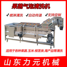 商用气泡清洗机全自动大枣鼓泡清洗机多功能喷淋清洗设备厂家供应
