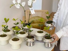 ���W�L�մɻ���С���_��r�к��s�k������Gֲ������������