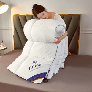 Hilton Hotel Feather Velvet Quilt Core Imitation Goose down Air Conditioning Quilt Spring Autumn Winter Quilt Company Gift Quilt Wholesale