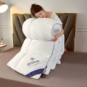 Hilton Hotel Feather Velvet Quilt Core Имитация гусиного кондиционера с амортизатором, осенняя и зимняя подушка