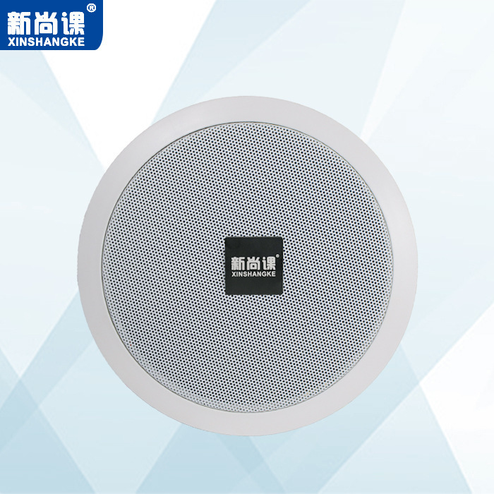EXPRESSIÓN DEL EXPRESSIÓN, altavoces inalámbricos Bluetooth, altavoces de techo activos, música de fondo, supermercados, tiendas, sonido de techo