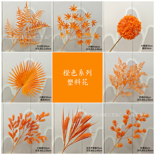 Ⱦɫϵ�г�ɫ���滨���l��c�b�ˇ���÷���ֲ��ҾӔ[��