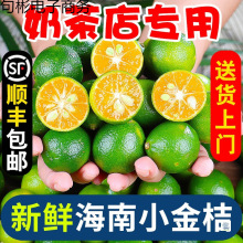 ����С���������r���������Ƥ����������ˮ���������r5�����