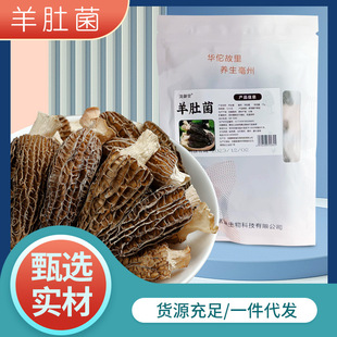 ��Ǿ���؛�Ҝ����l��������������Ǿ�����خa��Ǿ��ɴ��l