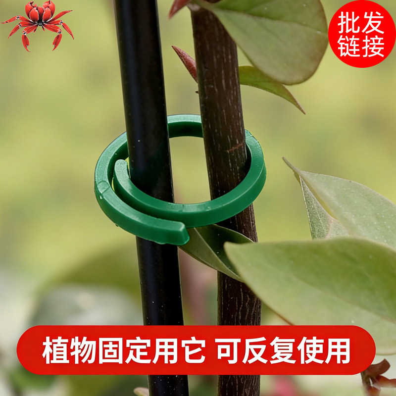 园艺植物固定夹扣螺旋扣捆绑捆扎扣带绑蔓造型扣捆绑器牵引固定旋