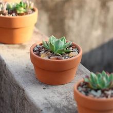 t͸úsڏбP؟͸Aμtհ