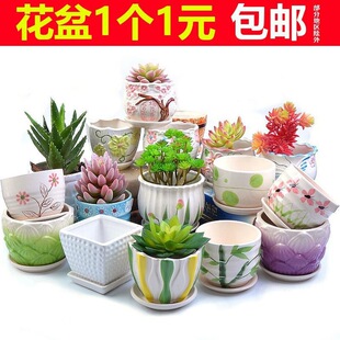 ���⻨���մɎ��бP��ڏ���̖�lؔ���脓����ö���Ļ�ֱ�N