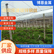 �S����\䓽z�r�I���﹭��  �߲˻��ܜ��Ҵ�����\����F�z���l