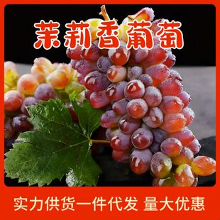 ����S������������������rժ������õ����o���������Ӯ���ˮ��