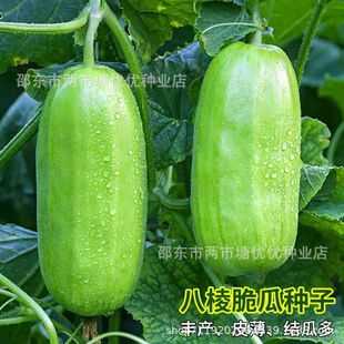 �����˹ϷN����Ʒ�N�˹ϰ�Ƥ�ֹ���Ƥ�˹ϷN���S�Ӵ�һ�C��N��