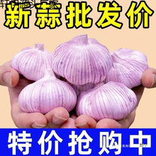 �����^����ɽ�|���^���l�Ӵ���Ƥ���r����tƤ���l���r�Ї����