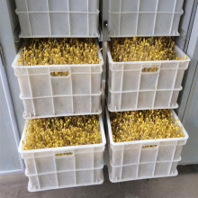 SѿCOS ȫԄӶѿC Ԅˮ؜؟o˹