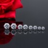 Classic universal earrings suitable for men and women, Korean style