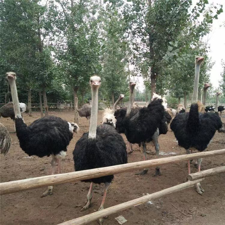 844151ed929cbf24bf6e55436c9455