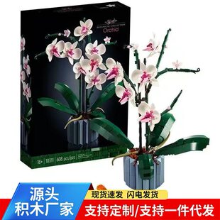 �羳���ݘ��ߺ����m���eľ�������ԝM���ǃ�ͯƴ�bģ�Ϳ羳���l