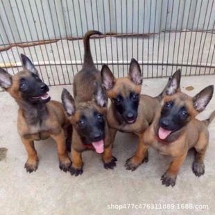 ���N�RȮ��Ȯ���w��Ŀ�RȮ���RȮ���t�RȮ��Ȯ܊Ȯ�����oԺ���ǹ�