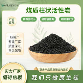 wanjing/万净粉末煤质柱形活性炭工业废气家用空气净化净味