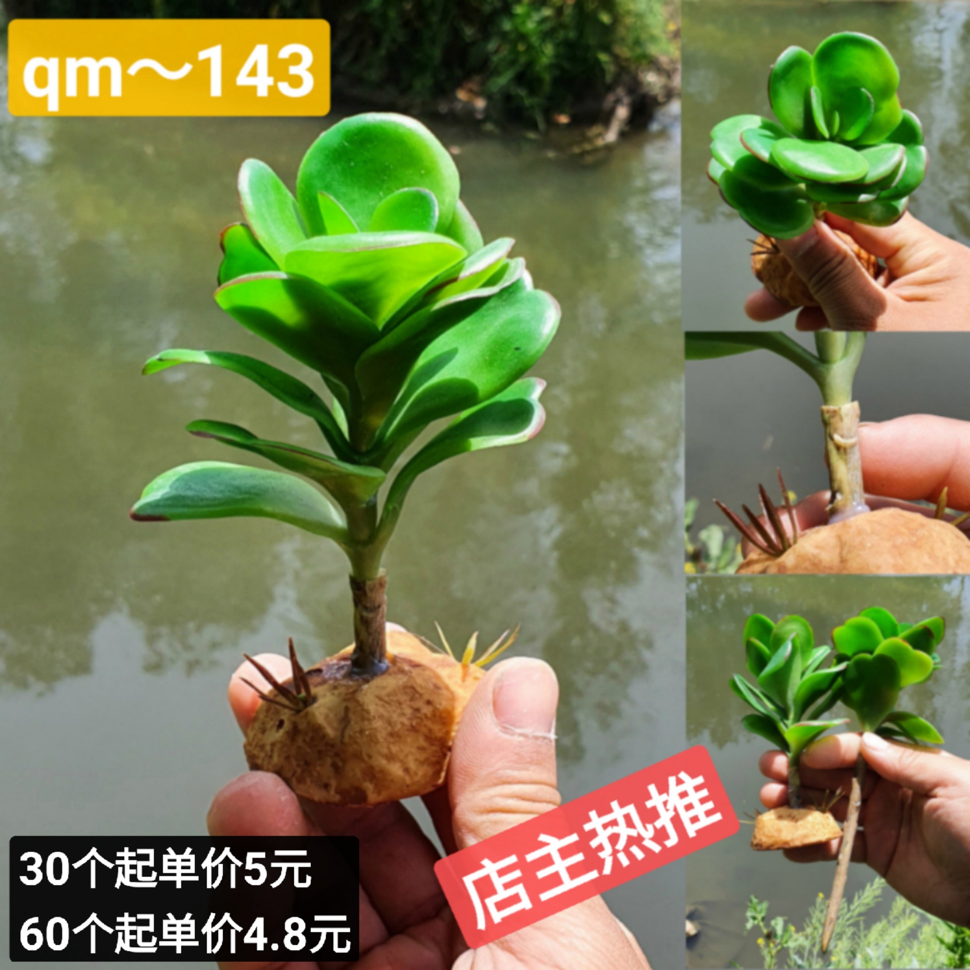 微信图片_20220422190731