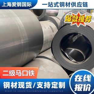������a�F T2-T5�R���F���� 0.12-0.6mm SPTEԭ���� �ƹ������