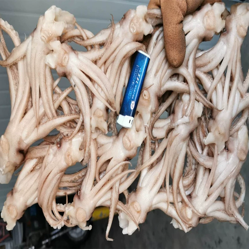 Оптовая Замороженная Голова Кальмара Коммерческий Кальмар Коготь Нить Барбекю Железная Тарелка На Жареном Youyu Самопитание Горячий Горшок Морепродукты