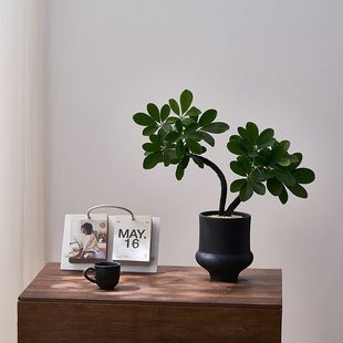 ���_�˷��҃ȁ�ؔ�͏d�k����������ؔ�Gֲ��������ֲ���ļ�����