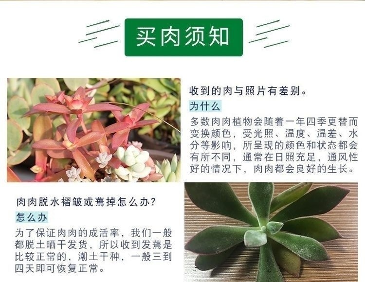 2a019bfc-98c8-40be-9f3f-fffc7f2b39fd.jpe