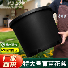 ���ϻ����ɫ�Ӂ���������������С�������ϻ���������ػ���