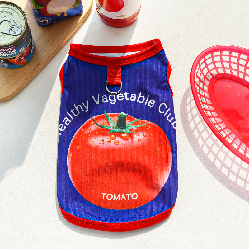 Transfronterizos primavera y verano nuevo gato ropa de oso perro dorado gato ropa de mascota ropa de perro ropa de perro chaleco