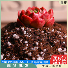 营养土多肉植物种植土泥炭家用盆栽种植花土花肥种花土壤通用型