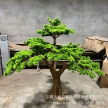 �����������҃��쾰�٘��b[���_�h�����ӭ���ɸ�����ɘ�