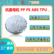 ����ĸ��ע���y����ĸ�����pp�����w�����Ͽ�����ɫĸ�����S���l