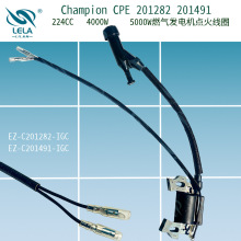 Champion CPE 201491 224CC 4kw 31-10462ȼ������������Ȧ���