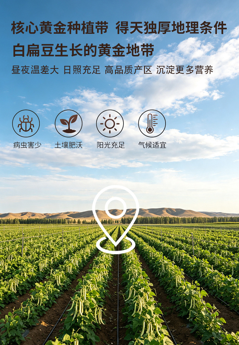 Cooked White Hyacinth Bean Powder Bai Bian Dou Powder Instant Grain Drink Mix 500g preparation