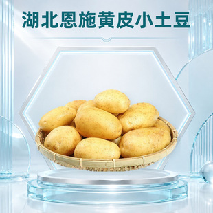 ������ʩ�SƤС���� ���l���l3/5/9���Ŵ�R����д�����r�߲�
