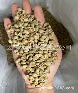 �t���Օ� ��Ͽ���  �t����ζ���� �Lζ����soe �ߺ���ȫ�t��