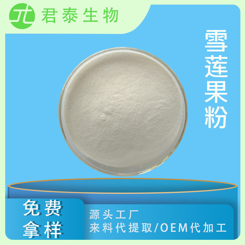 雪莲果粉 98% 雪莲粉 雪莲果汁粉 雪莲汁粉 品质保证 雪莲浓缩粉