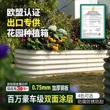 �������Q���ٷNֲ��N�ˌ�����˻��@ͥԺ�e����픑�����N���䴲