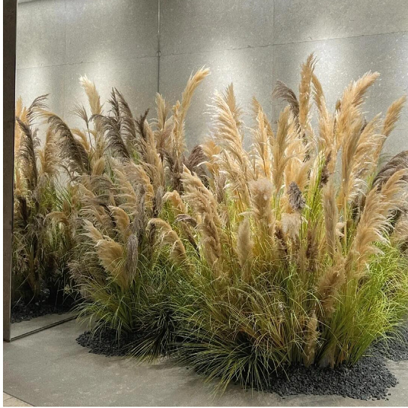 玄硕仿真芦苇干花假花北欧风客厅玄关插花橱窗隔断装饰绿植造|undefined