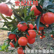 ������ľ �t���� ���o�t�ۘ��� ���Ә��� �ǽ���t���˸̽�������